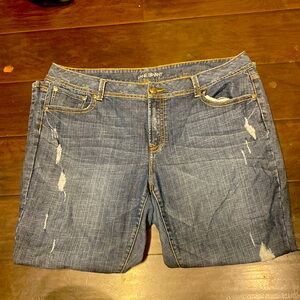 Plus Size Women's Blue Medium Wash Lane Bryant Distressed Jeans Denim sz 24